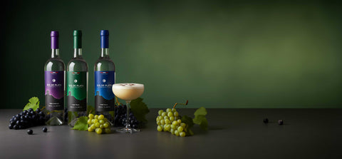 Pisco Sol de Plata