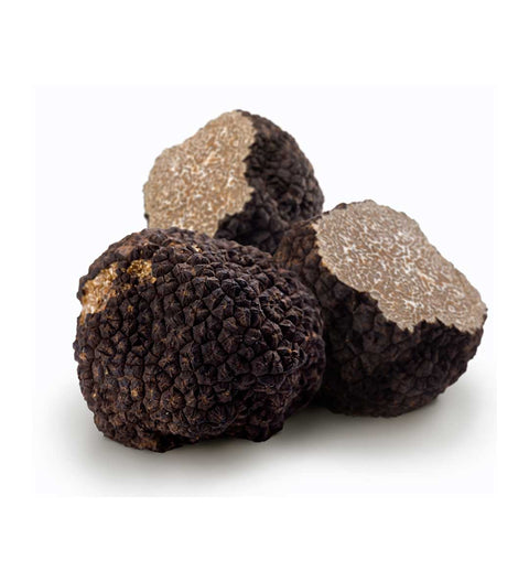 Schwarzer Trüffel Tuber Melanosporum (Frische Trüffel ab November)