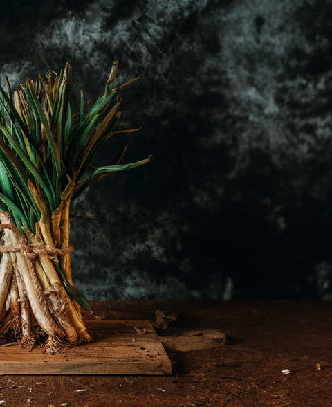 Calçots, Spezialität aus Katalonien“