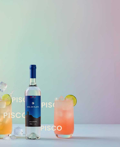 Pisco Sol de Plata