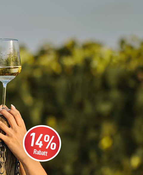 Rosé-, Weiß- & Schaumweine!