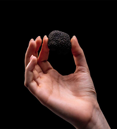 Calugi Essenziale Trüffelöl Box Limited Edition (Rarität)