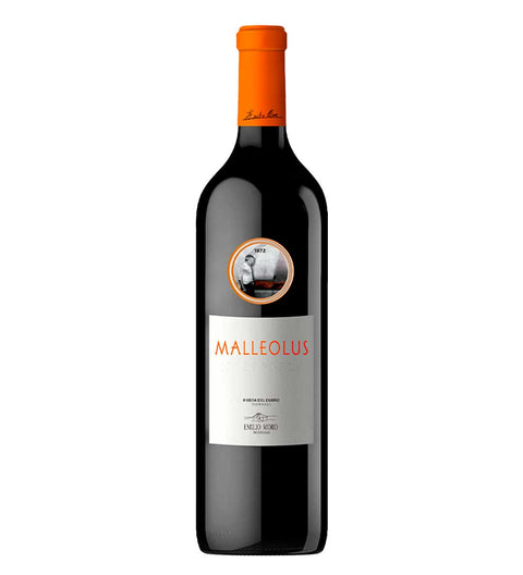 Malleolus Tinto