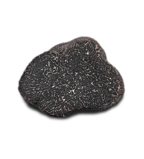 Schwarzer Trüffel aus Italien - Tuber Melanosporum 20g